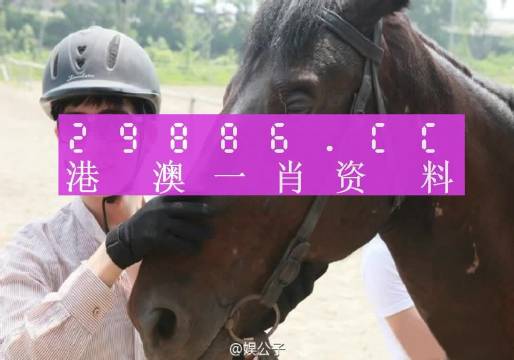 澳门一肖一码一必中一肖同舟前进_良心企业，值得支持_V41.26.32