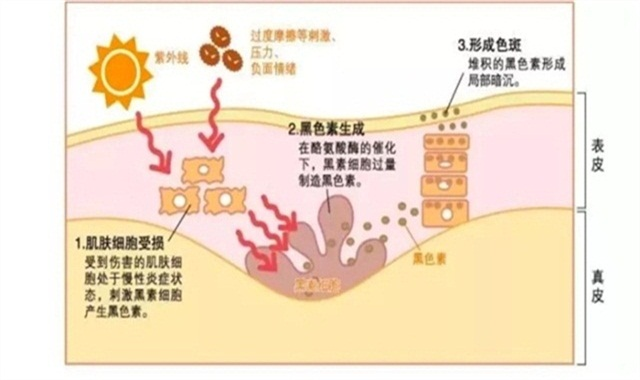 风水学视角下的骨病治疗  治骨病在风水学中属于什么类型